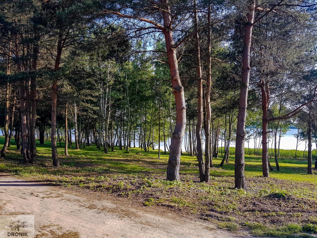 Hotel Zagiel Niewiesze Esterno foto